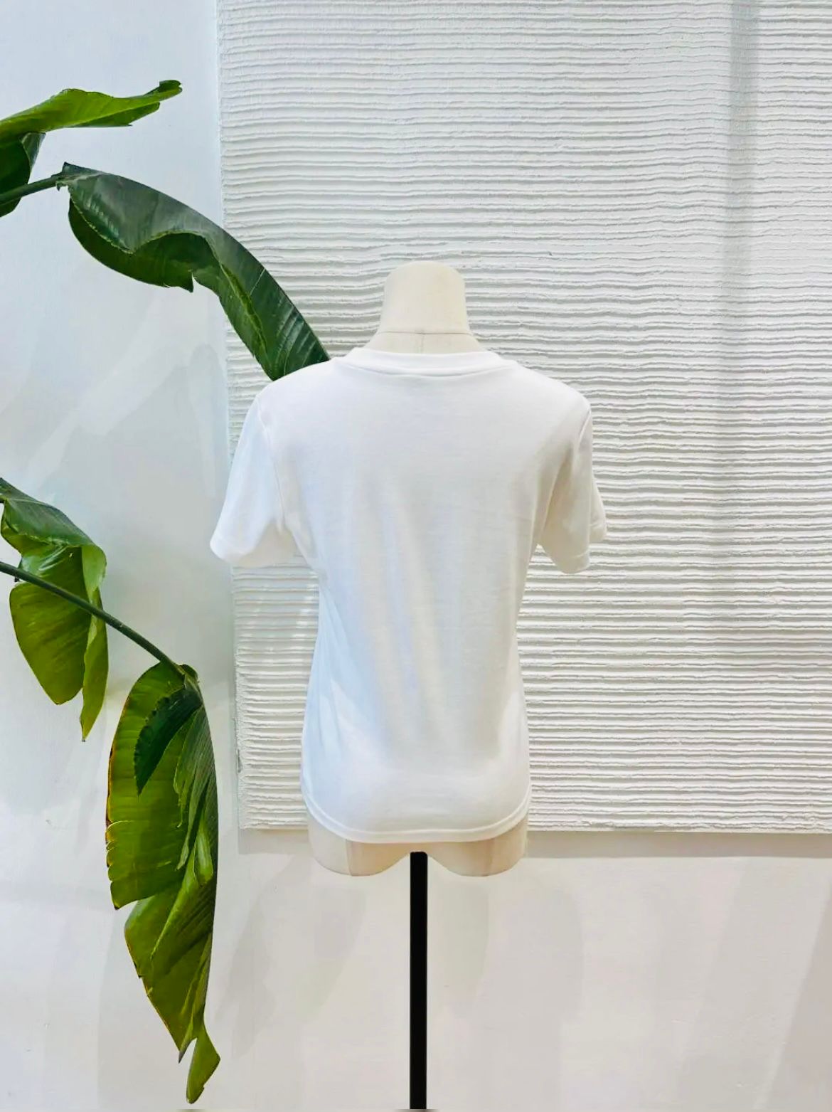 CAMISETA FRUTAS - Imagen 3